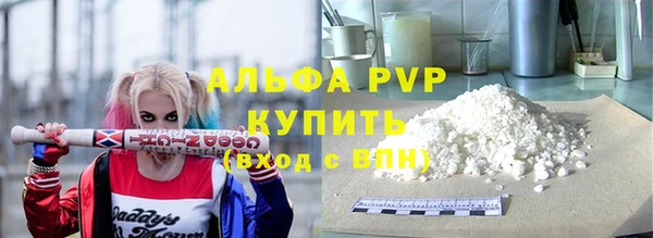 стафф Богданович