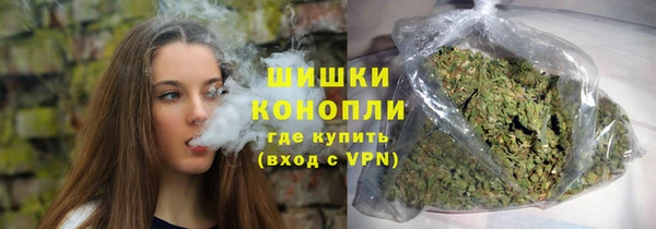 стафф Богданович