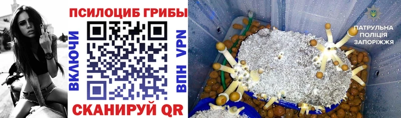 Псилоцибиновые грибы мухоморы блэк спрут онион Кирсанов